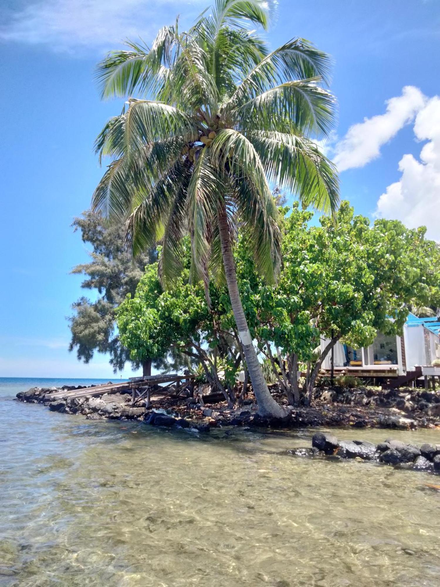Bungalow Vue Lagon 180 Degre, La Maison Bleue Moorea Dış mekan fotoğraf