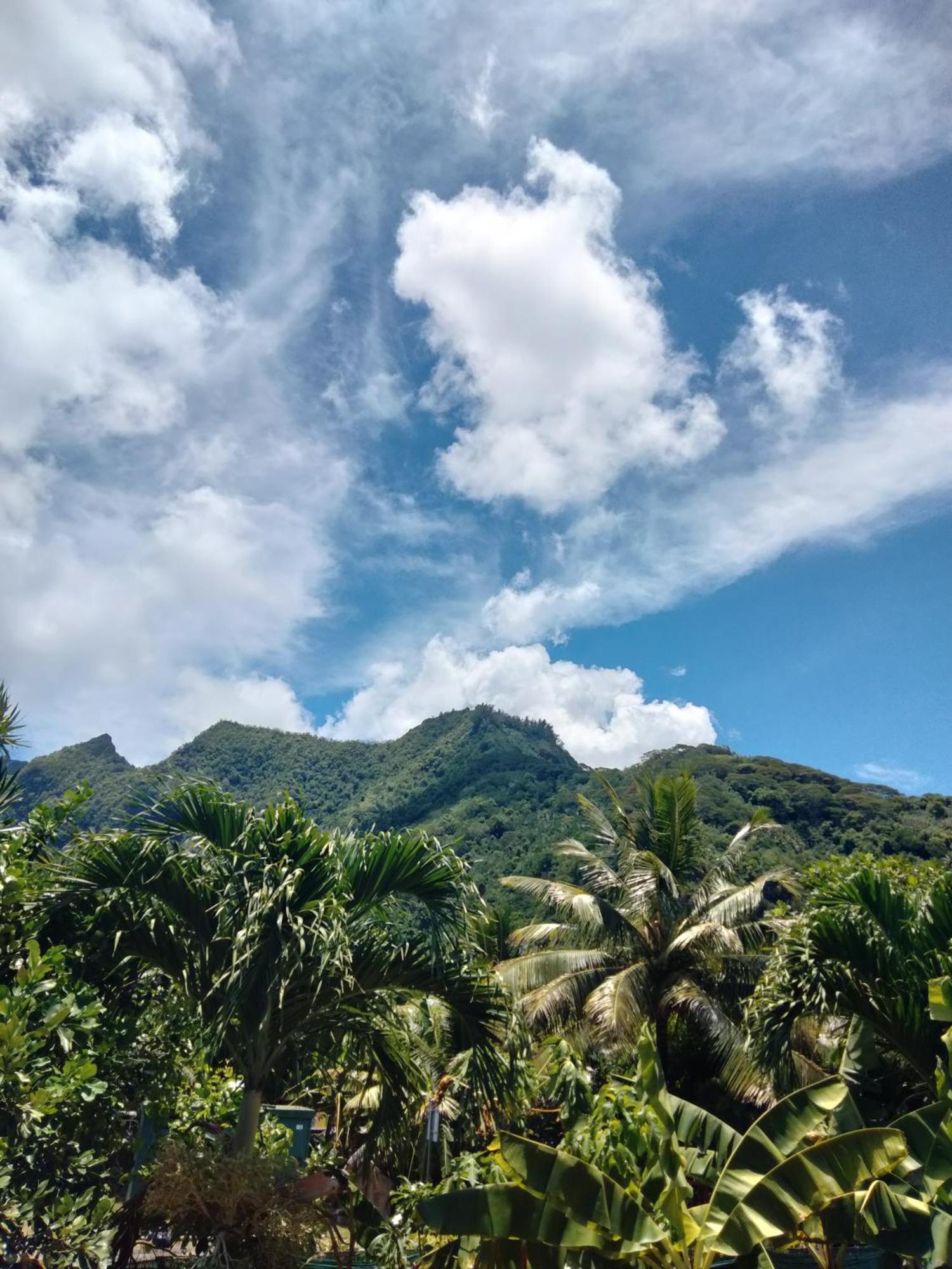 Bungalow Vue Lagon 180 Degre, La Maison Bleue Moorea Oda fotoğraf