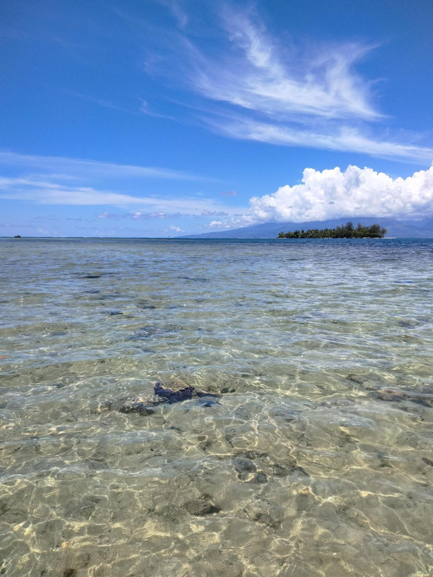 Bungalow Vue Lagon 180 Degre, La Maison Bleue Moorea Dış mekan fotoğraf
